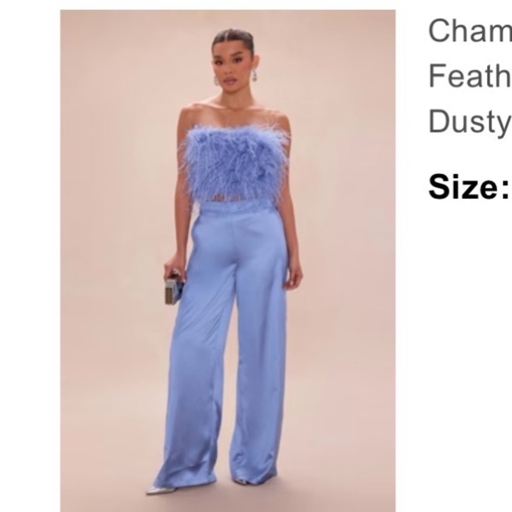 Fashion Nova Dusty Blue Feather Set
